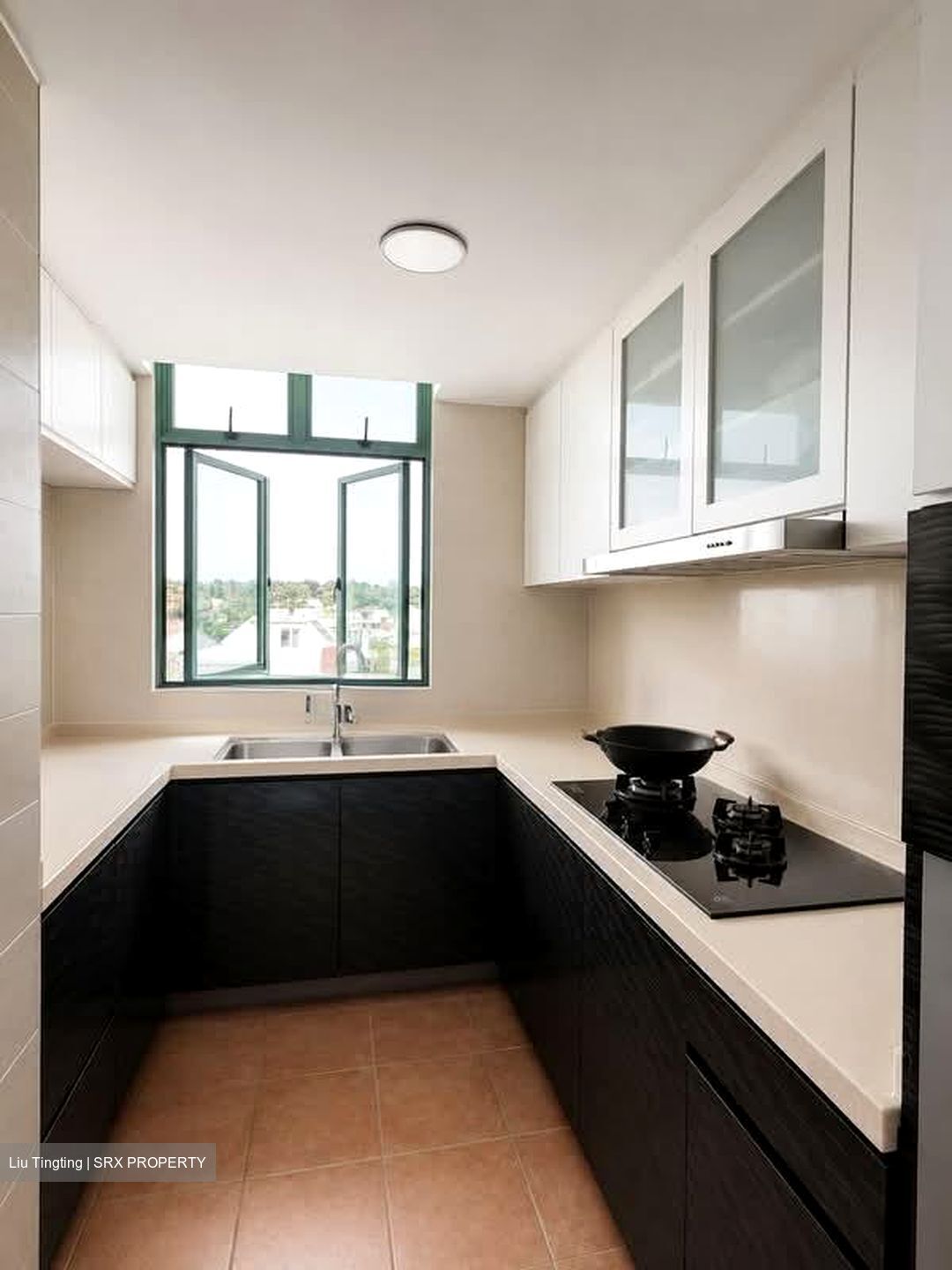 The Sunnydale (D19), Condominium #561034471